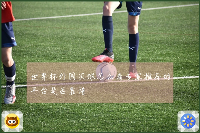 世界杯外围买球怎么看专家推荐的平台是否靠谱