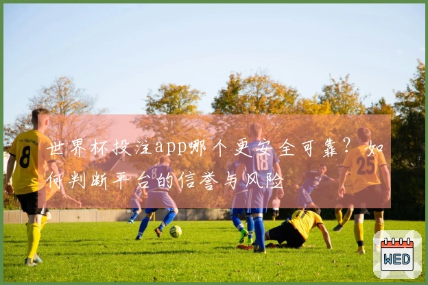 世界杯投注app哪个更安全可靠？如何判断平台的信誉与风险