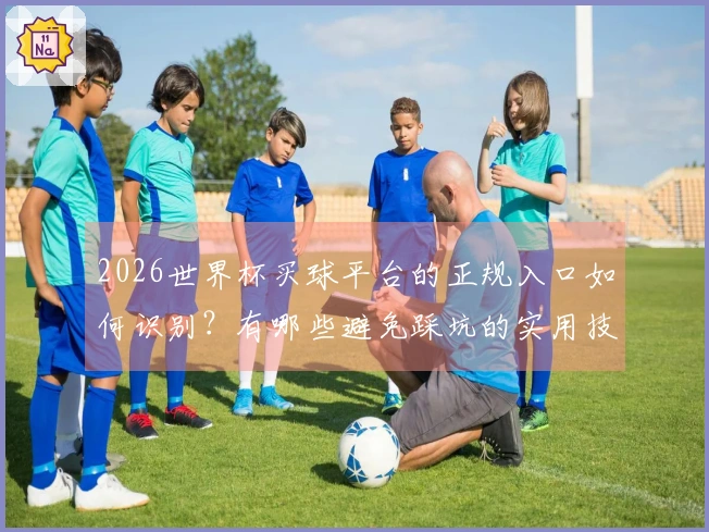 2026世界杯买球平台的正规入口如何识别?有哪些避免踩坑的实用技巧?