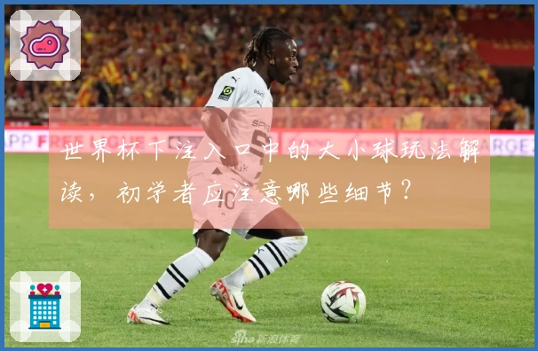 世界杯下注入口中的大小球玩法解读,初学者应注意哪些细节?