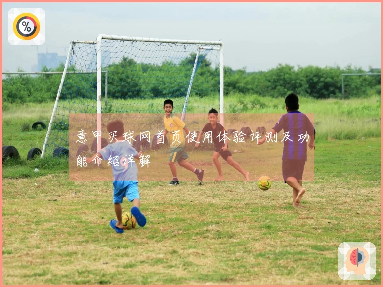 意甲买球网首页使用体验评测及功能介绍详解