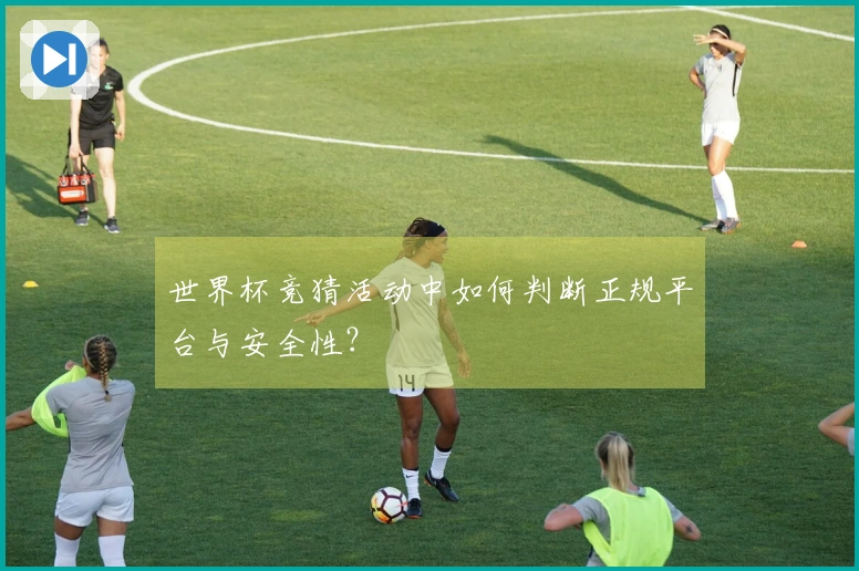 世界杯竞猜活动中如何判断正规平台与安全性?