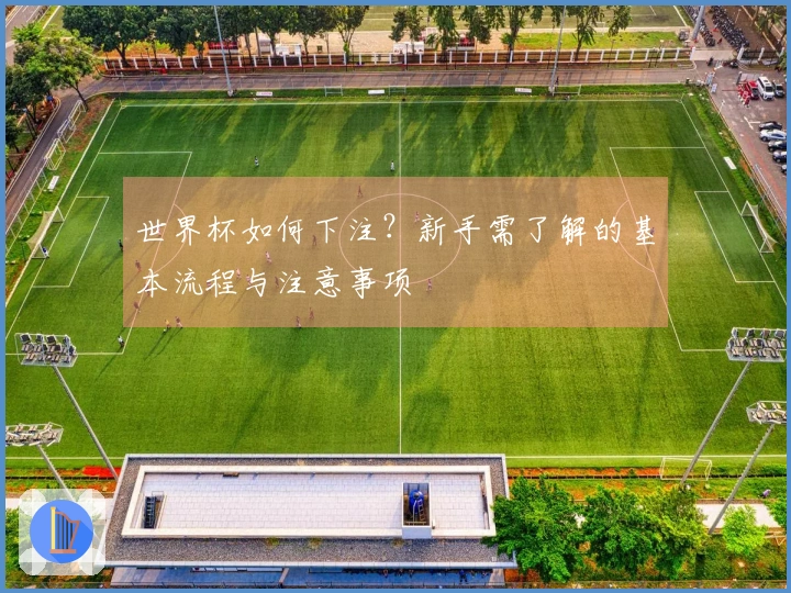世界杯如何下注？新手需了解的基本流程与注意事项