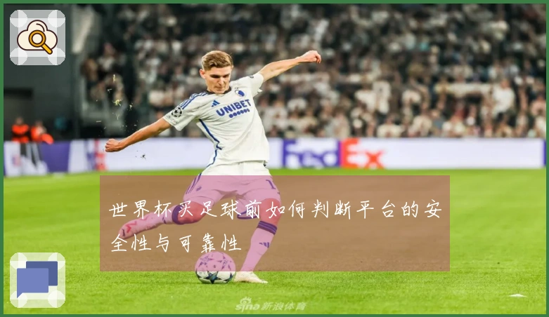世界杯买足球前如何判断平台的安全性与可靠性