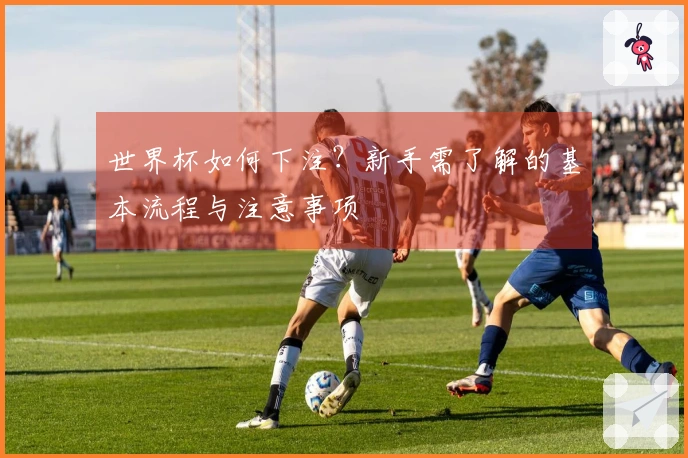 世界杯如何下注？新手需了解的基本流程与注意事项